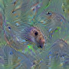 n02363005